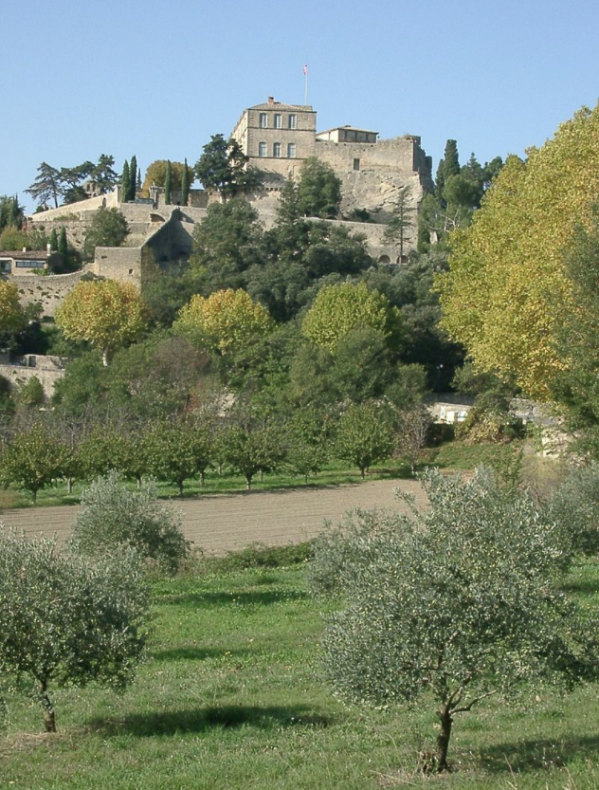 Chateau Ansouis Vaucluse Histoire et décoration 2