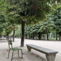 Palais royal Paris chaise collection Luxembourg